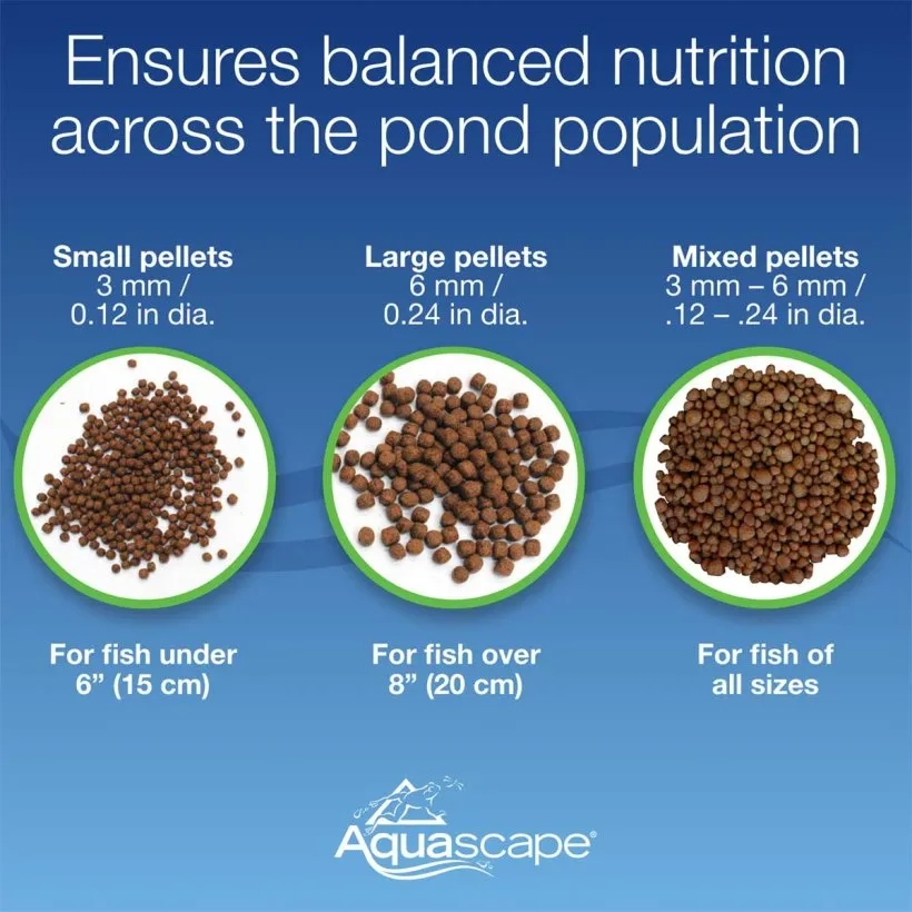 Premium Staple Fish Food Pellets - 4.4lb - Image 2