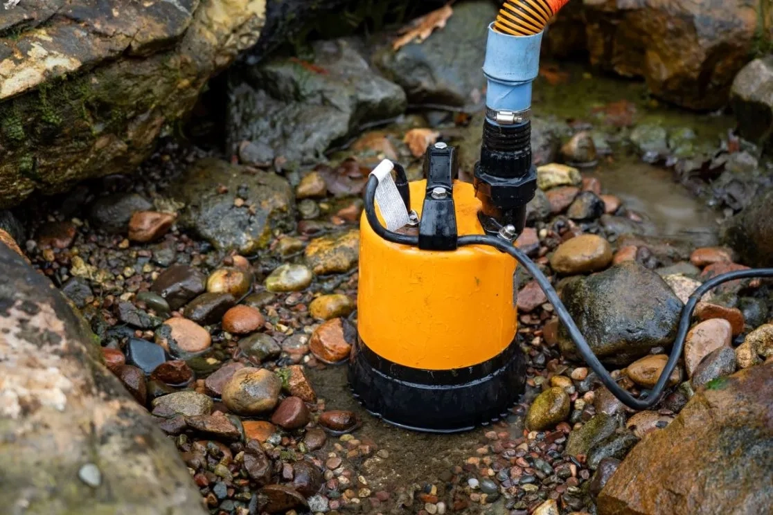 LSR Cleanout Pump - Image 3