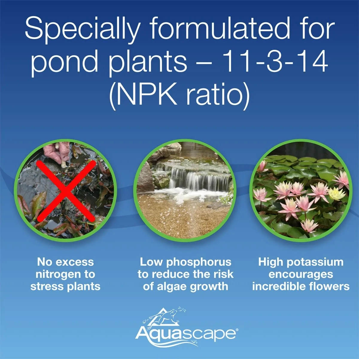 Once A Year Pond Plant Fertilizer Capsules - Image 5