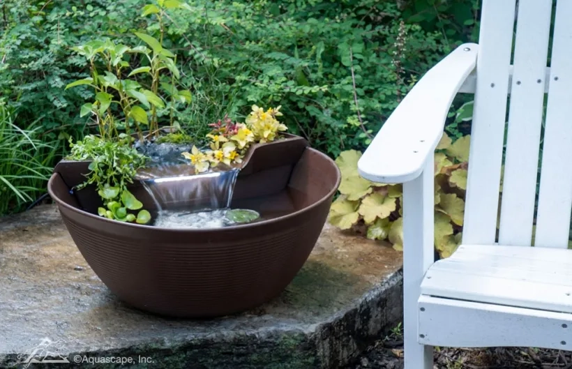 AquaGarden Mini Pond Kit - Mocha - Image 2