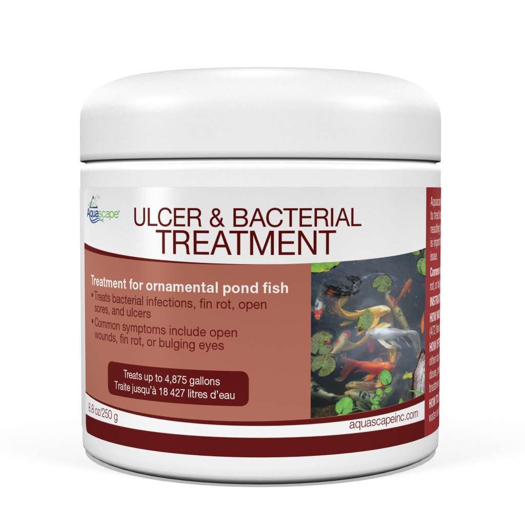 Effective Bacterial Treatment for Pond Fish Ulcers