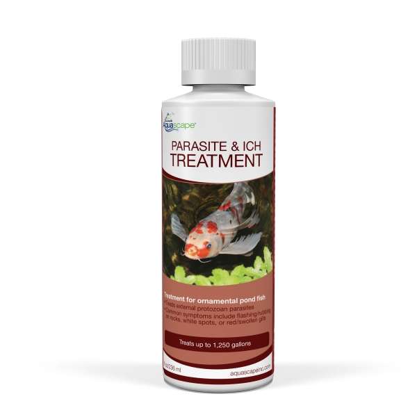 Parasite & Ich Treatment