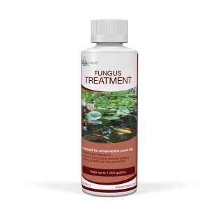 Fungus Treatment
