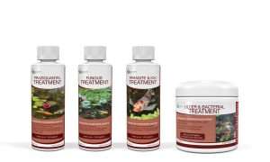 Praziquantel Treatment