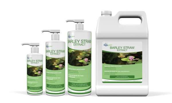 Barley Straw Extract - 16oz